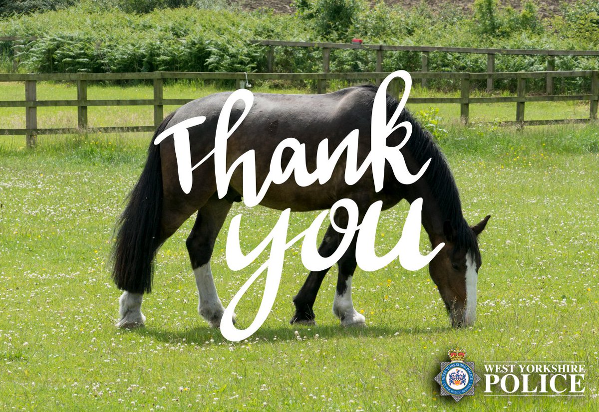 Kaylee McGovern who was previously the subject of a missing person appeal in Calderdale has been located. Thank you to all those who shared the appeal and assisted with enquiries.