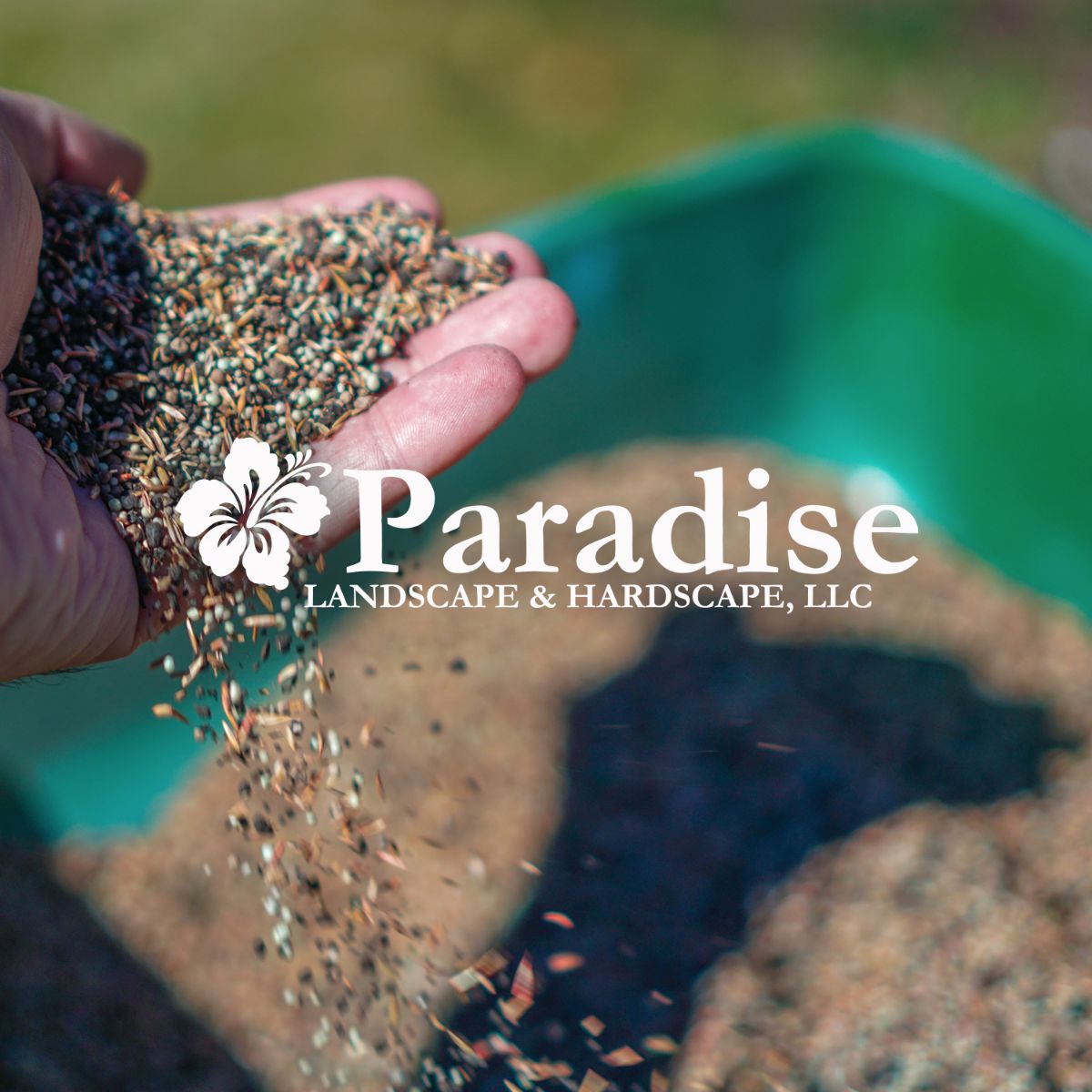 Paradisescapes's tweet photo. 🚨 One Last Chance to Aerate and Seed Your Lawn! - https://t.co/e21tkP1Kye https://t.co/PZPX7UcgKp