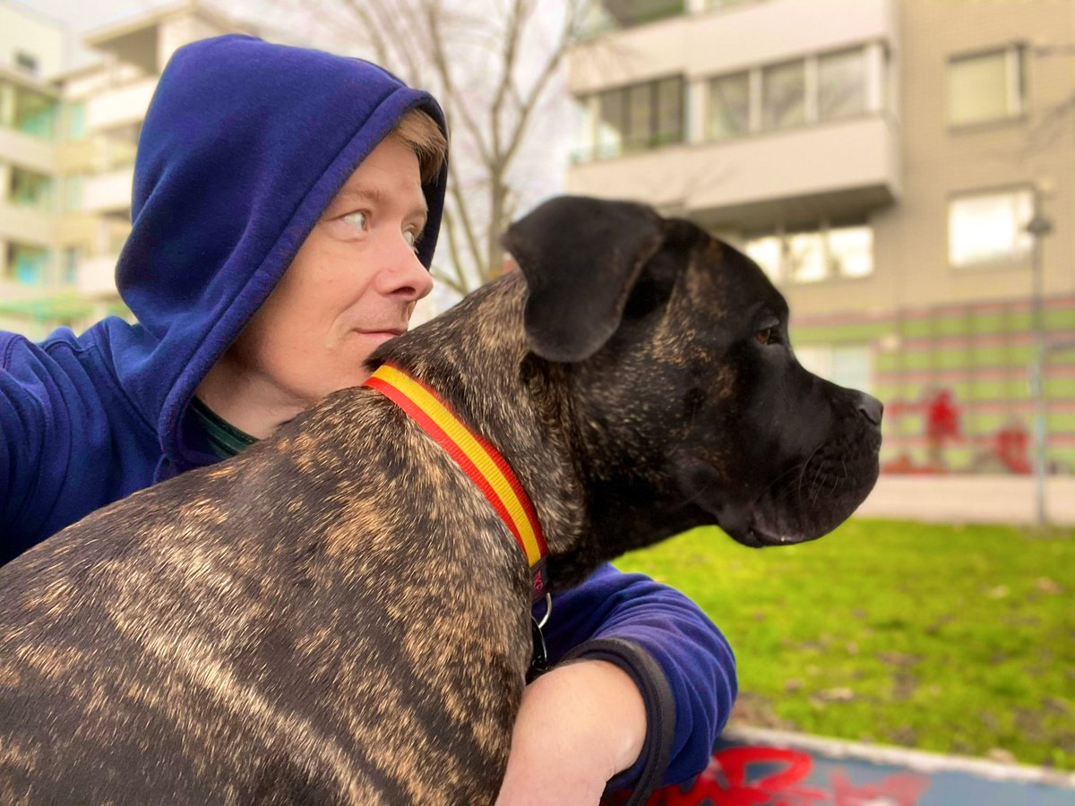 JaniSuonpera's tweet photo. โKyllรค, varpusia, kehtaavatkin lentรครค noin lรคheltรค โmeidรคnโ ilmatilaa..!โ
#k9 #canecorsolife #puppies #canecorsomania #palveluskoirat #italianmastiff #ilvanecorso #canicorsi #GiantpawsRigel #syksy https://t.co/DNUOqSpADu