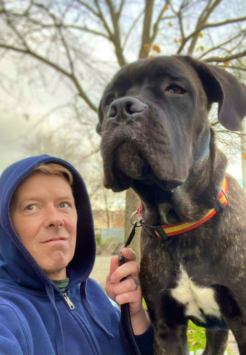 JaniSuonpera's tweet photo. โKyllรค, varpusia, kehtaavatkin lentรครค noin lรคheltรค โmeidรคnโ ilmatilaa..!โ
#k9 #canecorsolife #puppies #canecorsomania #palveluskoirat #italianmastiff #ilvanecorso #canicorsi #GiantpawsRigel #syksy https://t.co/DNUOqSpADu
