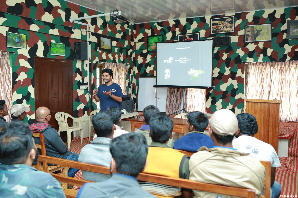EDGEofExistence's tweet photo. Next in #15FootstepsForward is the proposal for the purple frog, an EDGE species, to be declared as the State Frog for Kerala!
EDGE Fellow Sandeep Das is working to bring national recognition to this enigmatic species.
Head to Facebook to learn more https://t.co/4ADT1z0XyM https://t.co/B8OFwsKpNQ