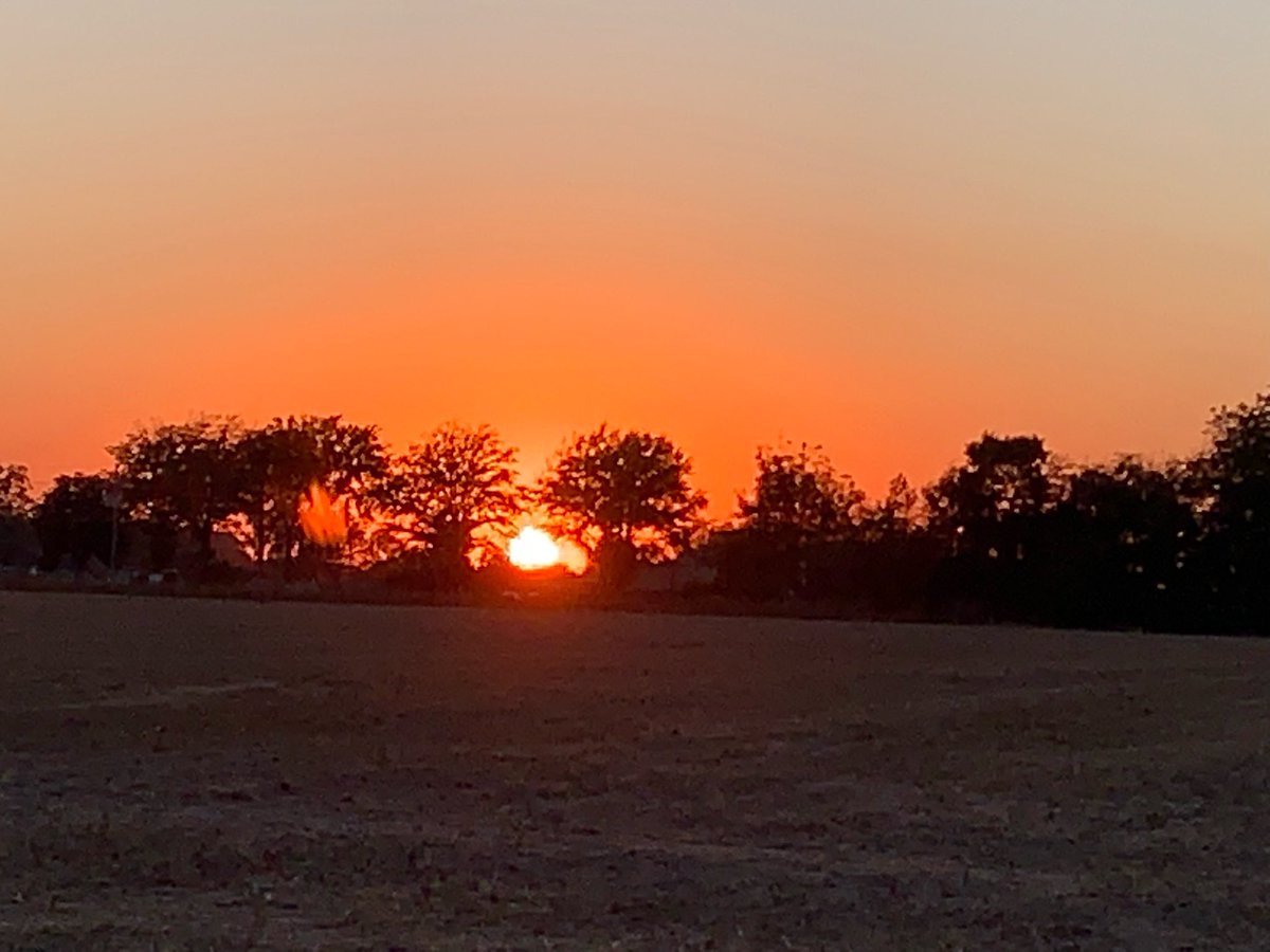 AshleyReneeWx's tweet image. #MoundBayouMS sunset 😍. 10-20-22. #viewerphoto #mswx #mississippidelta #BolivarCountyMississippi