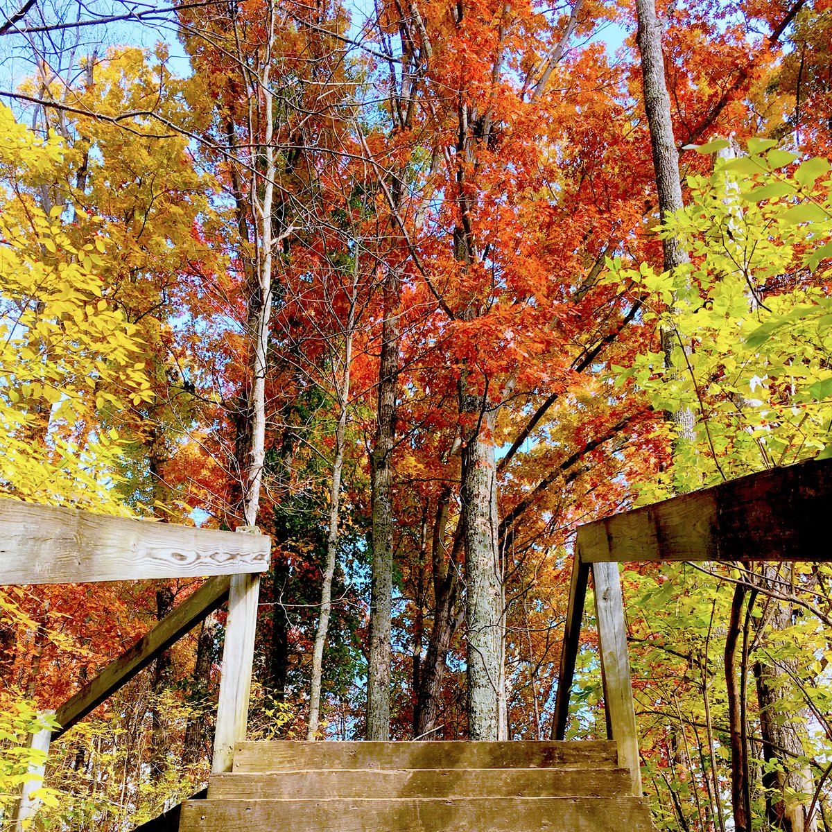 westchestertwp's tweet photo. Perfect weekend to hike Keehner Park https://t.co/9fEzbZqlEo #OhioFall22 #FallOhio22 #WestChesterOH #BestPlacestoLive https://t.co/7CHapUtilu