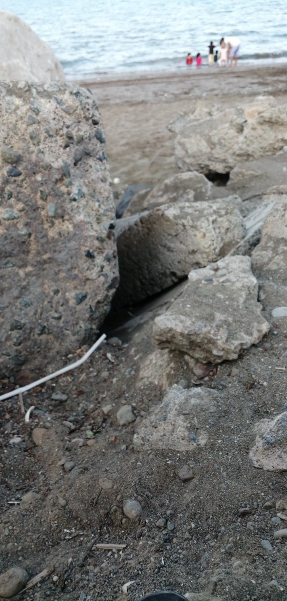 ابو شهاب (@hamadsa81017875) on Twitter photo 