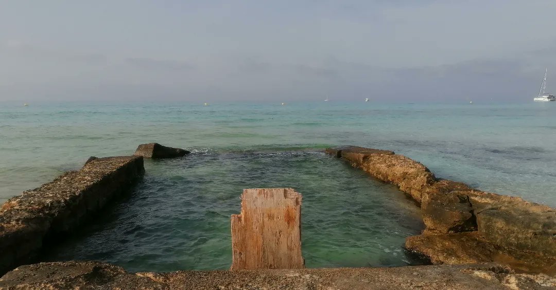 es_cda's tweet photo. Acompanyant a l'alumnat de 4EP #ceipblaibonet al #parcnaturalestrencsalobrar #sescovetes #sarenaldentem #peregons #platjadelsestanys
Un itinerari excel.lent per aprendre #educacioambiental, xerrar de flora i fauna, la toponímia, la posidònia i la seva funció, formació dunar...🌏 https://t.co/wmF9PXwnnG