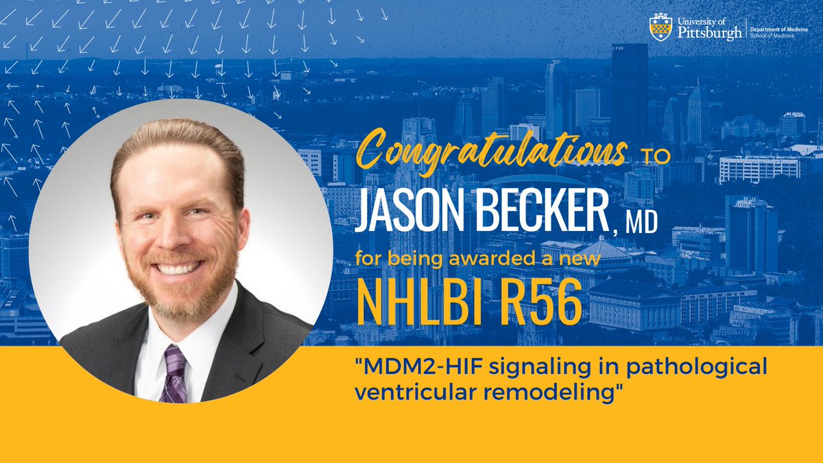 Congratulations to Dr. Jason Becker on his new @nih_nhlbi R56: 'MDM2-HIF signaling in pathological ventricular remodeling'! 🎉🎉🎉