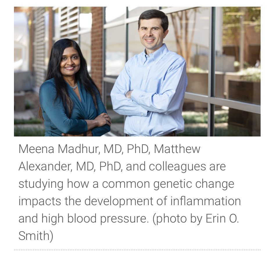 Excited that our recent study on Sh2b3/Lnk in @CircRes was featured in today’s Vanderbilt Reporter. #cardioimmunology @VascRes Click to read more: bitly.ws/vEMb