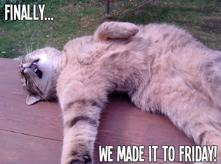 We finally made it to friyay. What are your plans for the weekend?
#finallyfriday #friyay #weekend #lwilder #lwilderbooks