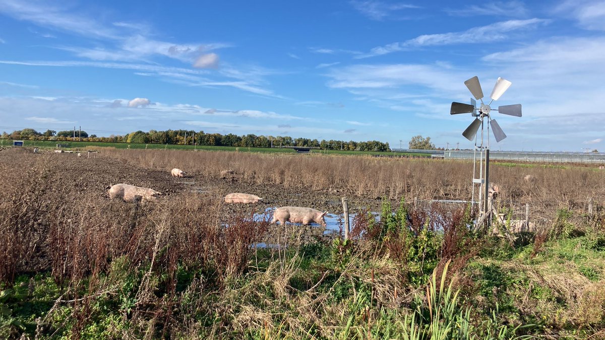 berendpotjer's tweet photo. Na 15 jaar ontwerpen, zwoegen en klussen is het zover. Vandaag natuur en recreatiegebied de Noordrand geopend: 400 hectare nieuwe natuur tussen de Rotte en de Schie #natuur #natuurinclusief https://t.co/iFFDolDgqY