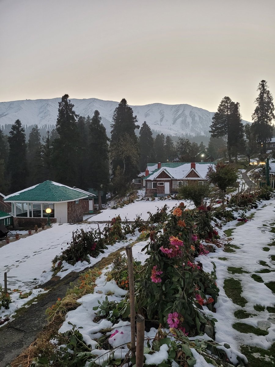 Farhat_naik_'s tweet photo. When Autumn Meets Winter.🍂❄️

#Gulmarg  #Kashmir
@highlands_park https://t.co/KeE73x7PBe
