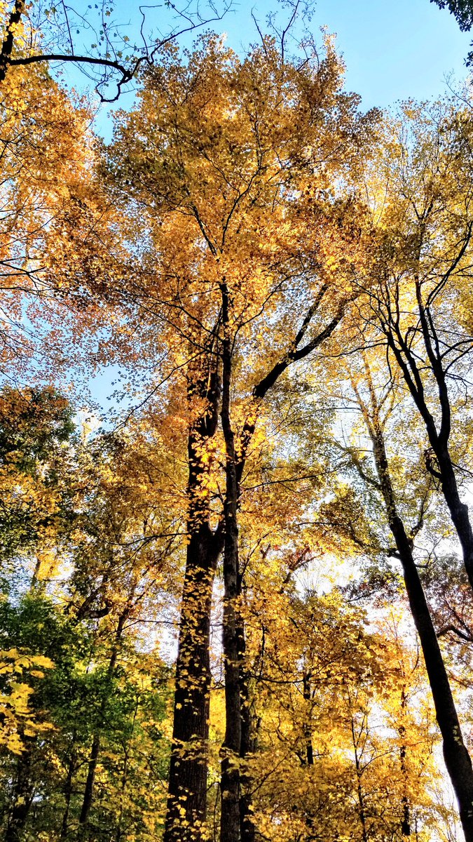 estepunit's tweet image. 