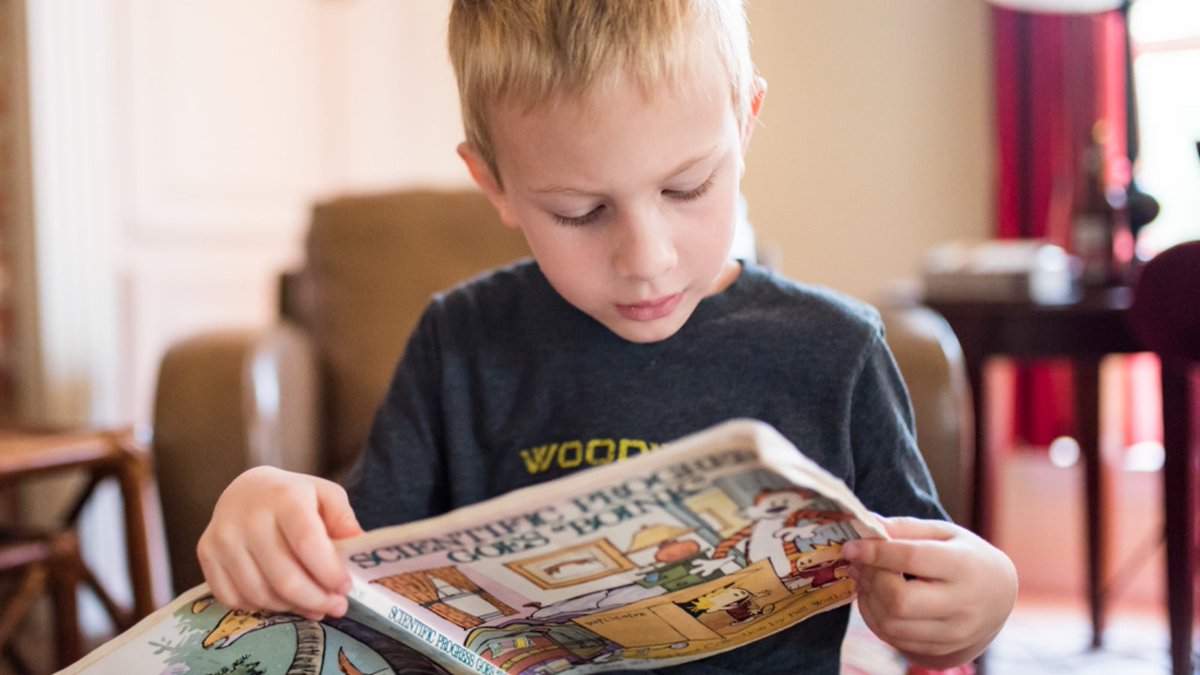 DavidMorganEd's tweet photo. Bright children everywhere have fallen behind the expectation for their age thanks to the pandemic. What can you do to get your children back on track?

You can read my full article here: https://t.co/VKCPZeZE5S

#pandemic #edchat #raisingreaders https://t.co/wXmu1UMWiP