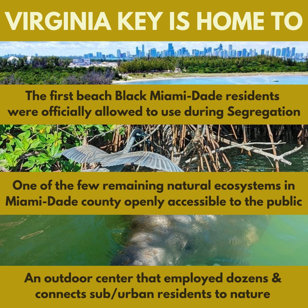 melanyv1's tweet photo. What side of history are we on?
How does Miami protect our National Registered Historic sites, endangered species, natural ecosystems, public parks, and our vulnerable communities? @CityofMiami @MiamiDadeCounty @VirginiaKeyBeac @vkocfl @MiamiMayor @MayorDaniella @FrancisSuarez https://t.co/fE16IssO41