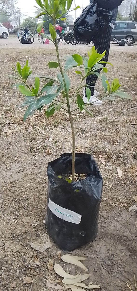 <a href="/red_ongs_amb/">Red Uruguaya de ONGs Ambientalistas</a>