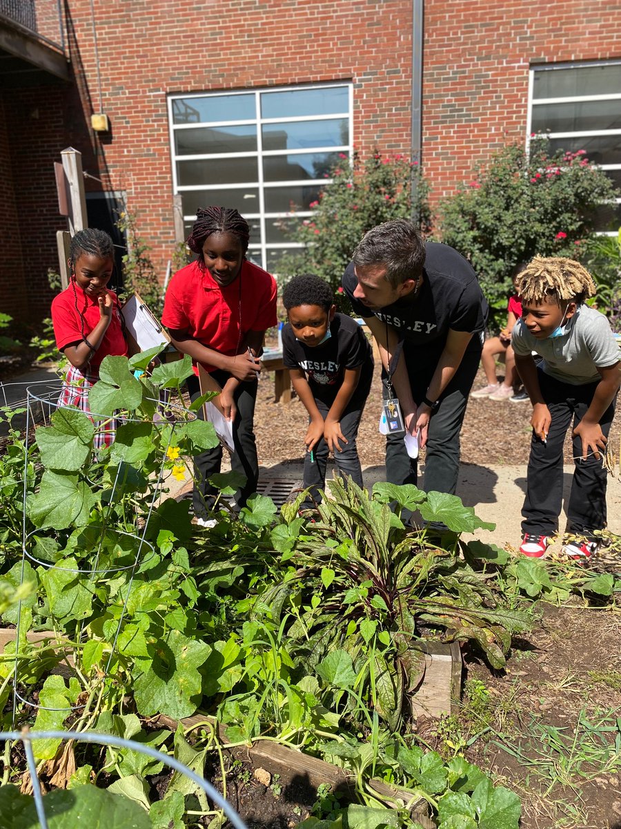 It’s that time again when locally grown veggies and fruits make their way onto student lunch trays! October is Farm to School Month and this year, Georgia Organics is showcasing Spinach to Win It! 

wesleyacademy.org/wesley-now/art…