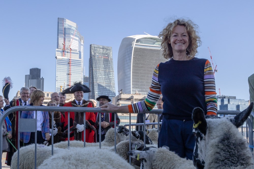 glaziershall's tweet photo. As a Livery building we are fortunate enough to get involved in events throughout the year that honour the heritage of the movement. Just one such occasion was the Sheep Drive across London Bridge last month. Thanks to @SheepDriveLDN for the pics. #SheepDrive #LiveryFair #London https://t.co/ueW5l6Ueav