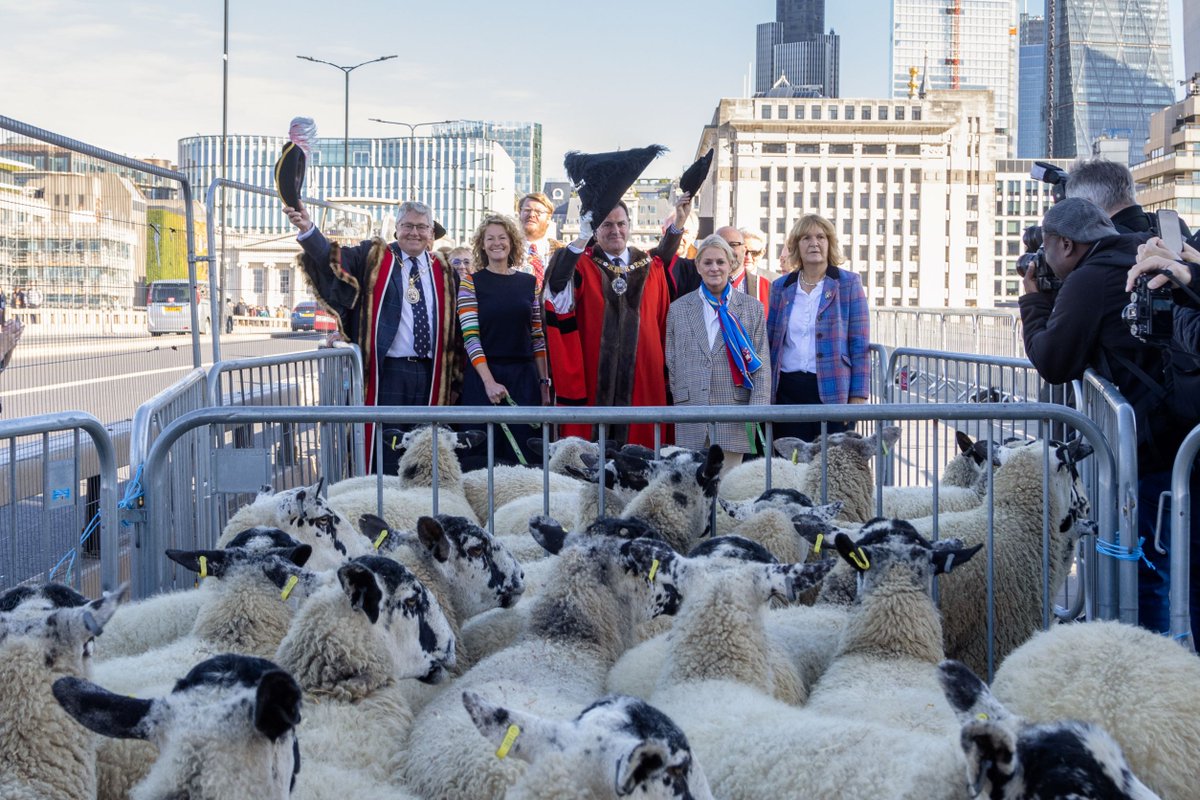 glaziershall's tweet photo. As a Livery building we are fortunate enough to get involved in events throughout the year that honour the heritage of the movement. Just one such occasion was the Sheep Drive across London Bridge last month. Thanks to @SheepDriveLDN for the pics. #SheepDrive #LiveryFair #London https://t.co/ueW5l6Ueav