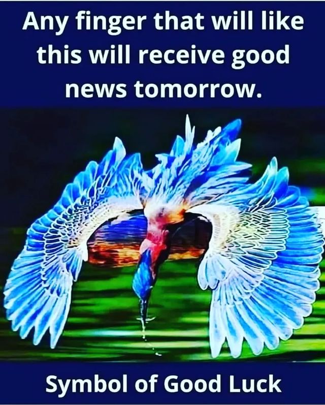 Law Of Attraction🇺🇲 (@manifestation43) on Twitter photo 