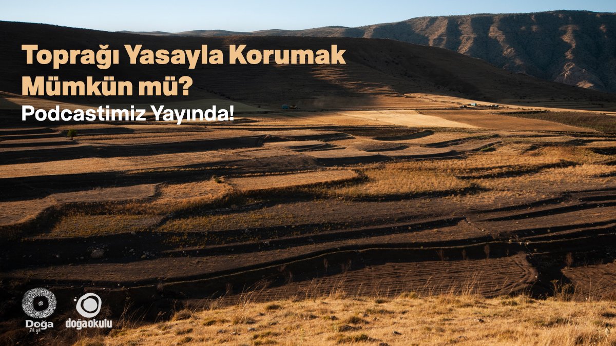 Ekosistemin parçası olan toprak, büyük bir yaşam çeşitliliği sunuyor. Bu yaşam çeşitliliğini korumak günümüzde giderek zorlaşıyor. Türkiye’de toprağı koruyan yasalar var mı? Podcastimizi dinlemek için; Youtube youtu.be/CnRnYMD--PU Spotify open.spotify.com/episode/2jm1DH…