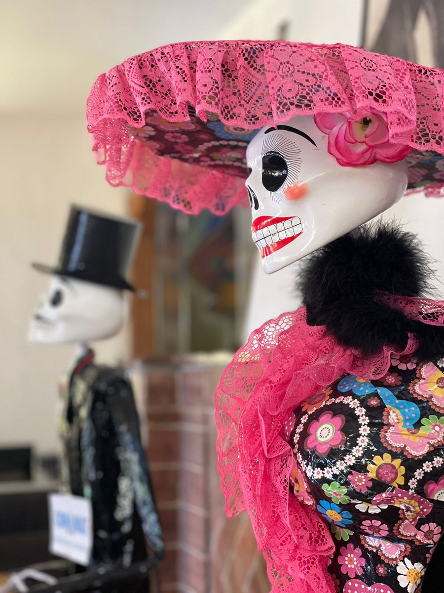 TinocoGRogelio's tweet photo. #BuenDía
Se acerca el #DíaDeMuertos

#Fotografía de una “catrina” captada por @dibelula en Metepec…

Video: “Rescatando el cempasúchil mexicano”… https://t.co/inMhsHQ2Hy