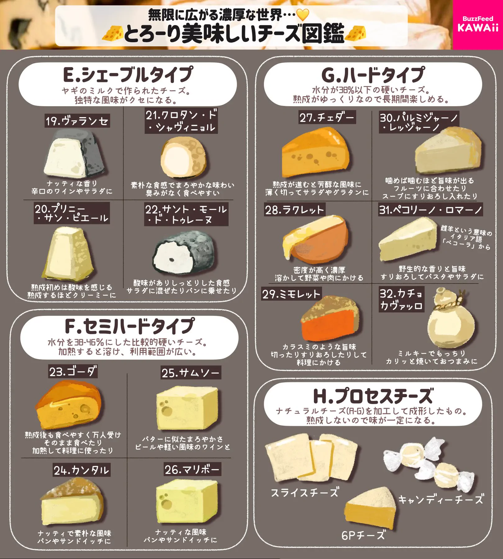 こんなにもたくさんの種類があるなんて知らなかった！いろいろなチーズのまとめ！