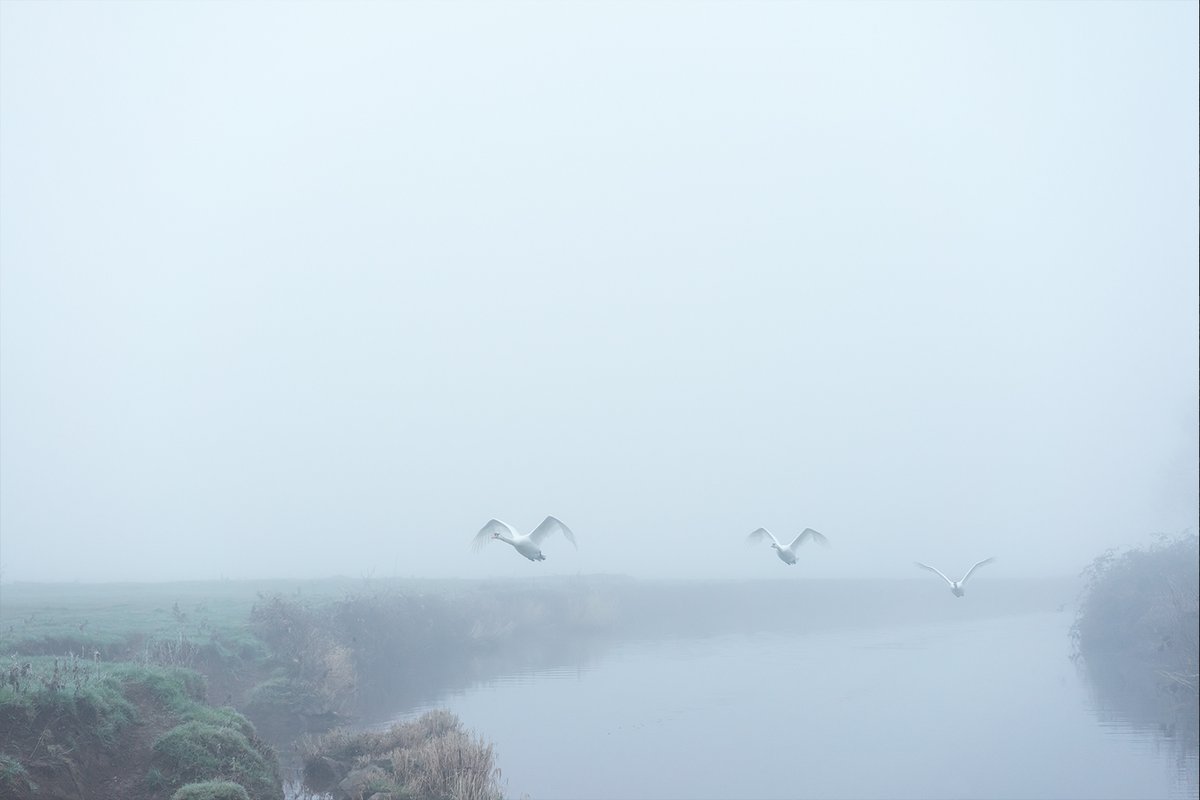 'Birds fly. The whispers of ghosts settle on bare branches and the touch of what God we harbour inside pours salve on our wounds.' Magic in Here: in his latest book ‘Four Winters’, @JemSoutham conjures magic from the light and the shadow, finds @unpopular bit.ly/3Slc8d9