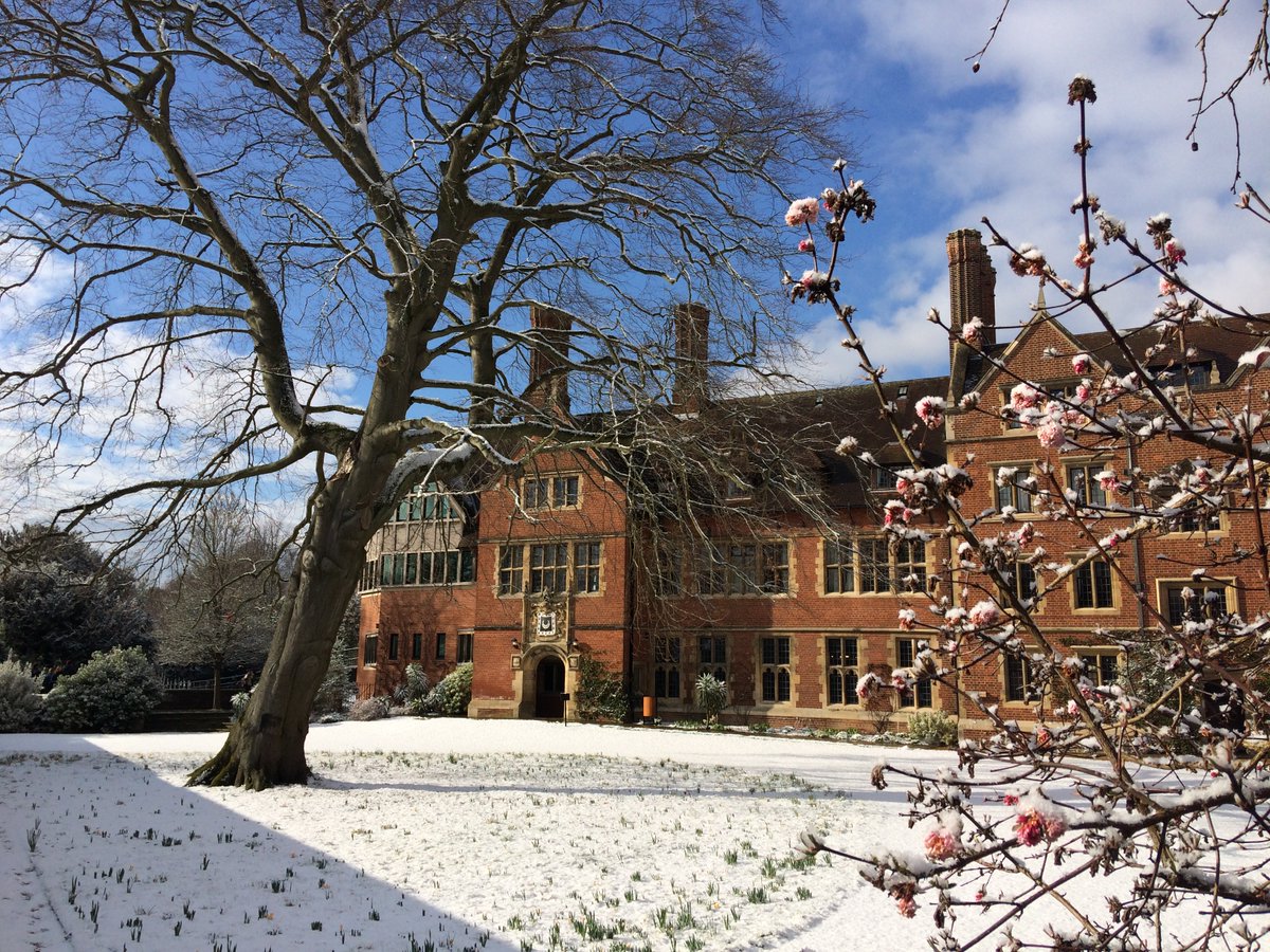 If you or friends/fam are looking for somewhere to stay in the run up to Christmas then our single guest bedrooms at Trinity Hall offer great value for money at just £75 &amp; the chance to stay in a beautiful &amp; historic #CambridgeCollege
tinyurl.com/mhhw4a9d #christmas #Cambridge