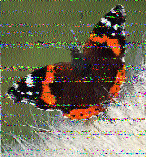 ML_HH's tweet photo. @SWRadiogram Thanks for today's SWRadiogram, well received on 15770 kHz in Germany. Have a nice weekend and 73. https://t.co/HWgODNavyv