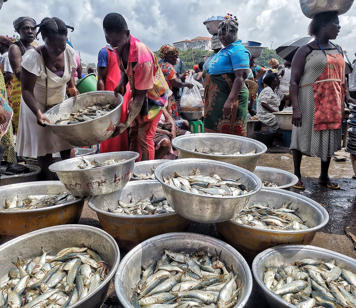 To help fish stocks rebound in Ghana's waters, @USAID supports the implementation of a ministerial directive to eliminate illegal fishing gear: usaid.link/r77 #FeedtheFuture #IUUFishing #FoodSecurity #StrongerTomorrow @TetraTechIntDev @FeedtheFuture @USAIDWestAfrica