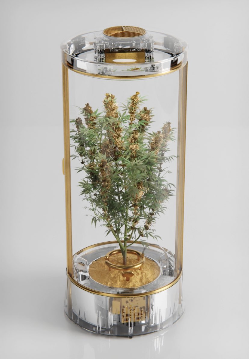 UR MOMS BOXED tweet media