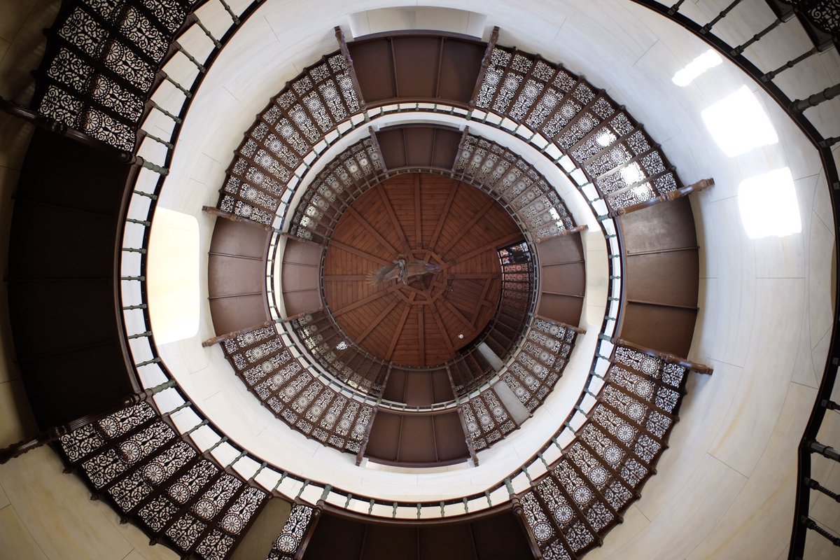 The camera and the photos 
#ooc #fuji