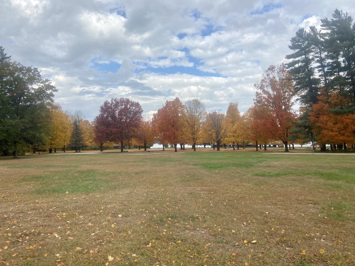 The view this week from Branbury State Park. We may be past full vibrancy but there's still great color out there, particularly in the south and west. Read the final foliage report of the season at vermontvacation.com/fall-foliage-r… and give it up for the trees!
#WorldsBestFoliage