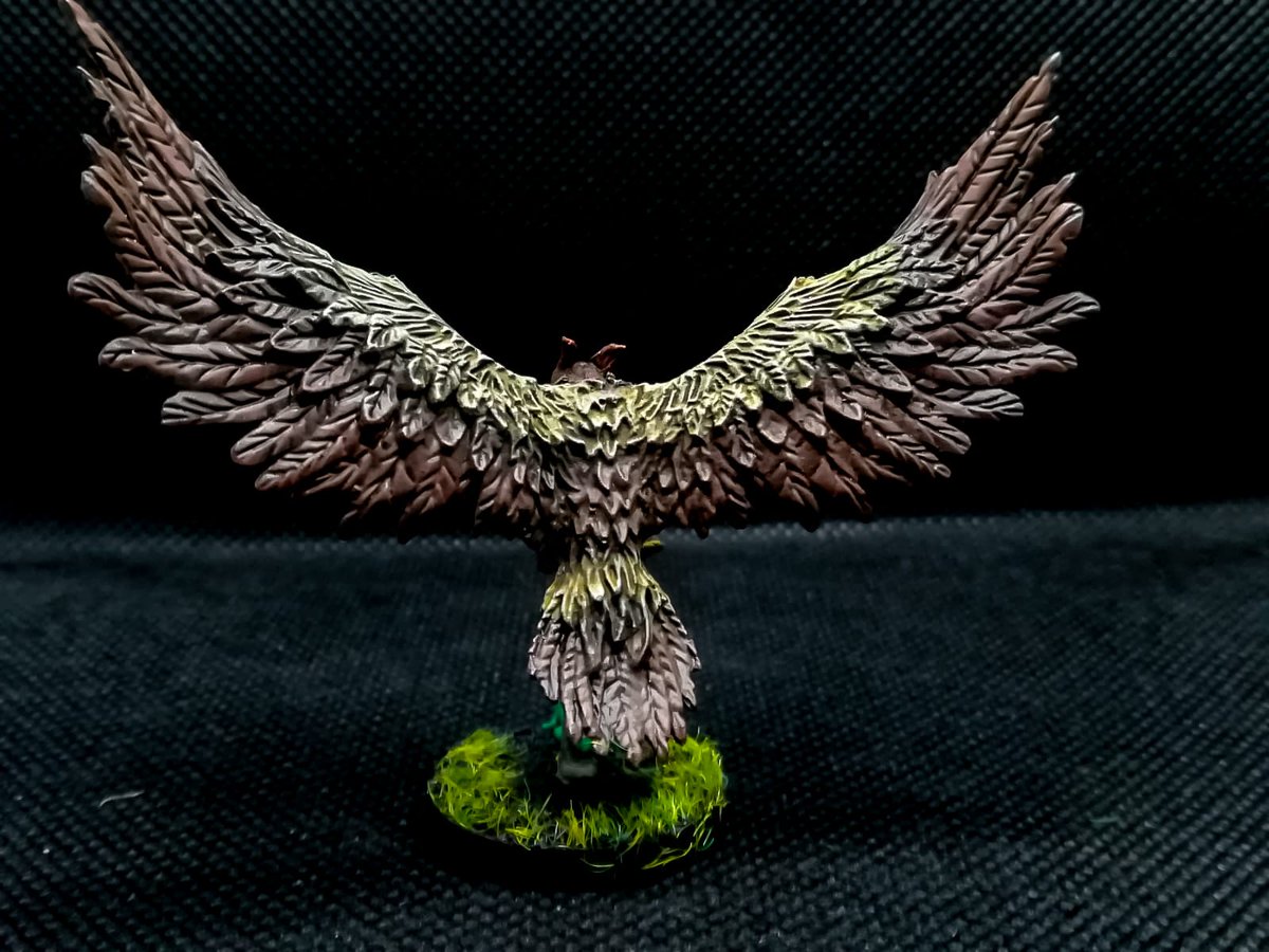 Nicola90tn's tweet photo. #massivedarkness2 #hellscape #animalform #eagle #druid #druidsvsbelzebub @CMONGames #massivedarknessminis #boardgames #miniatures #paintingmassivedarkness #coolminiornot #tabletopgame  #dungeoncrawler #miniaturesgames  #boardgamegeek 
#kickstarter #airbrush #speedpaint #lightbox https://t.co/mt91NyOJOD
