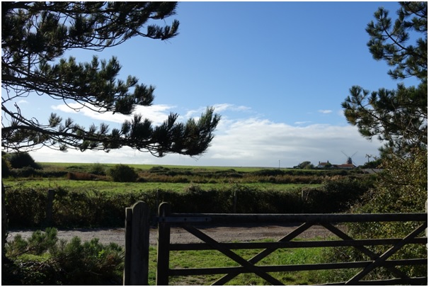 Sunny Selsey as captured yesterday afternoon whilst out and about measuring up a new property - a good end to another tumultuous week for the housing market! #lookonthebrightside #selsey #selseyliving