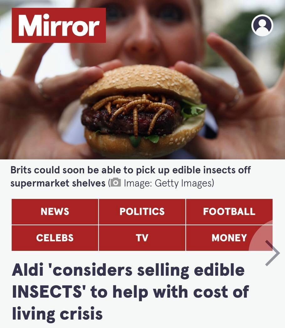 geo-monitor-on-twitter-uk-supermarkets-plan-to-sell-edible-insects-to
