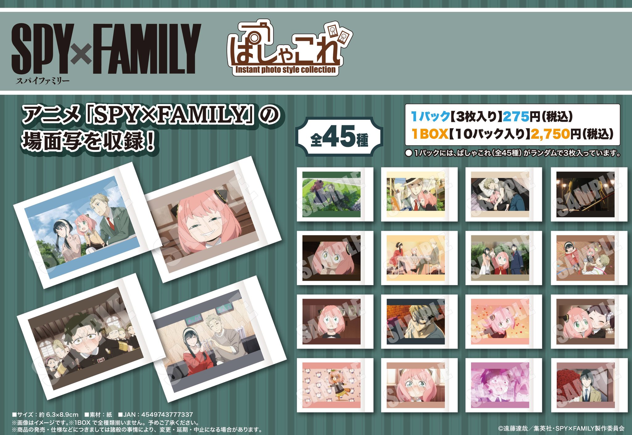 SPY×FAMILY ぱしゃこれ 名刺 SPY×FAMILY ぱしゃこれ 名刺