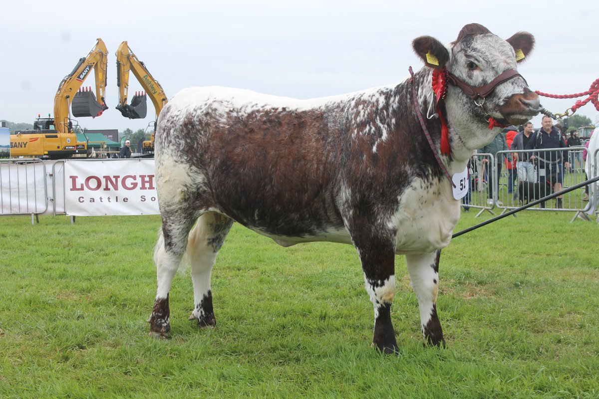 Bull, Cow, Senior Heifer and Junior Heifer of the Year Awards were announced at the AGM last weekend.  Congratulations to all the winners and those who took part!
Full results on the website 👇
longhorncattlesociety.com/knowledge-base…