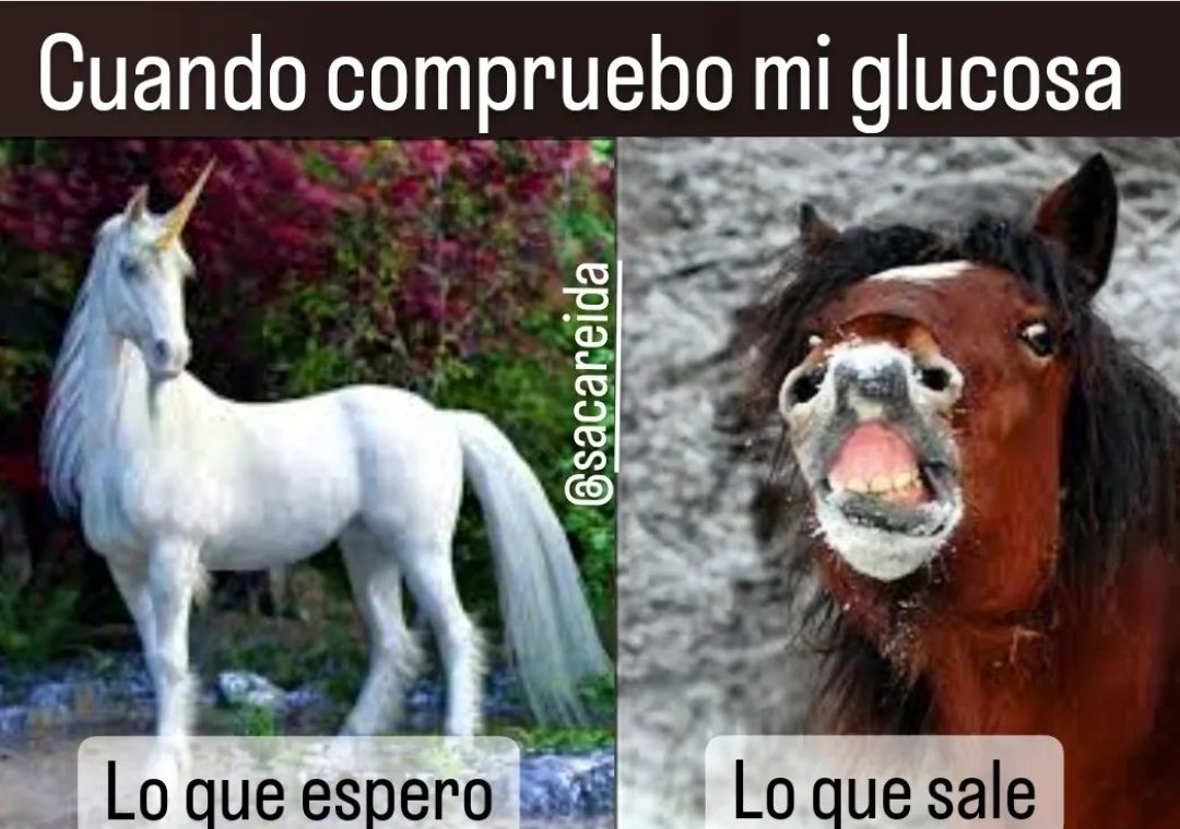 sacareida's tweet photo. Ese ansiado unicornio (111) que se hace de rogar 🦄/🐴 😵‍💫

#unicornio #111glucosa #glucosa #diabetesesp https://t.co/GTbBDqssMH