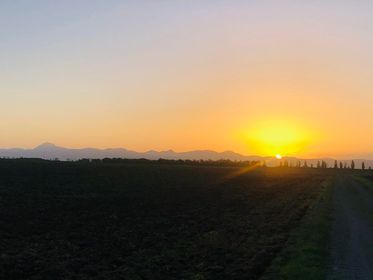 chainedespuys's tweet image. #InstantPhotos 🌄 Le spectacle est toujours fascinant lorsque le soleil joue avec nos volcans, Amélie et Cindy ne s'y sont d'ailleurs pas trompées ! 😍
Merci à elles pour ces belles photos de la #chainedespuys.
#puydedome