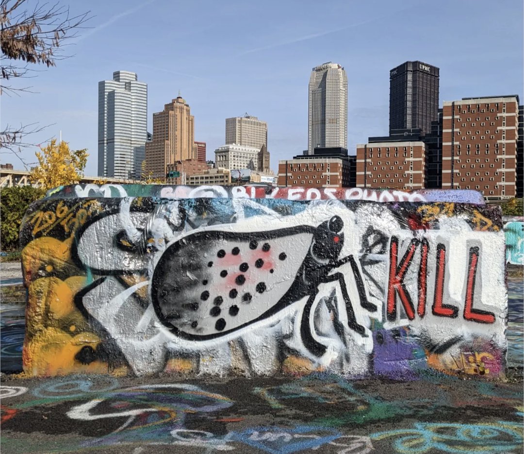 pghgraffiti's tweet image. Kill