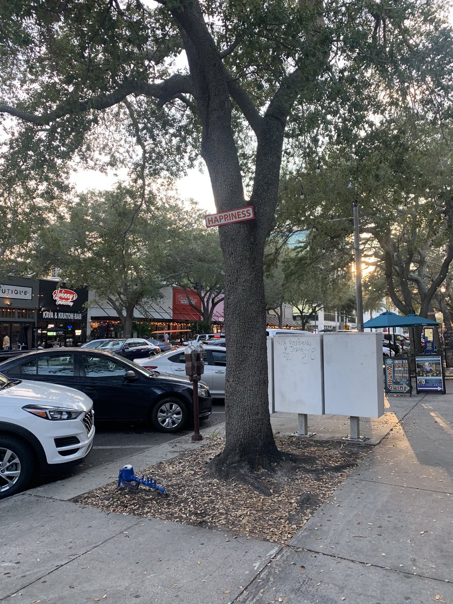 abcdconnect's tweet photo. There are over 200 “Happiness” signs in trees all over St. Petersburg Florida. They are made of aluminum and fiberglass and placed up high. The creator of the signs believes words have energies and happiness resonates more than most. https://t.co/sFGuEArzGS
