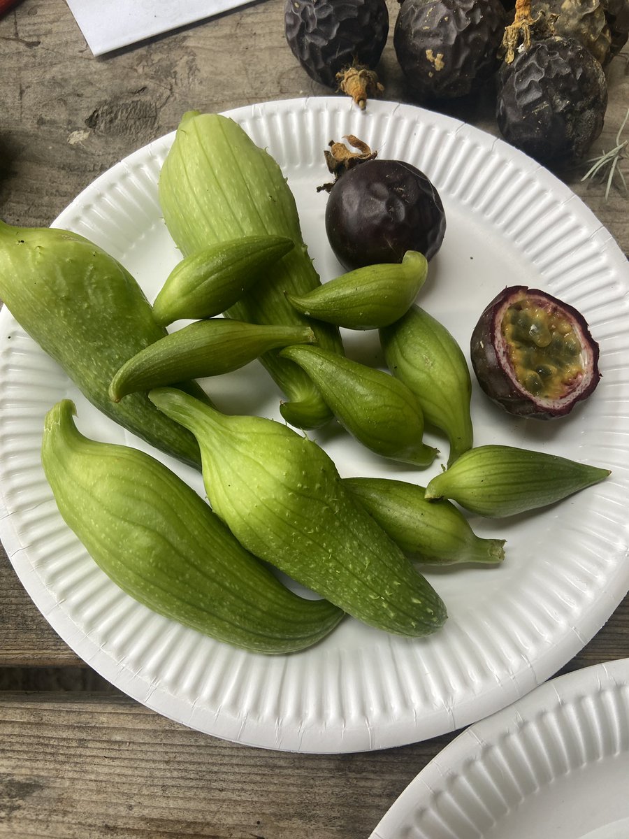 CreateFGS's tweet photo. Year9 Frank House @ChatsworthHouse food security &amp; sustainability @FlixtonGS @MissPerkinFGS #nutritional #social&amp;moral https://t.co/vGJ0Gfm5HO