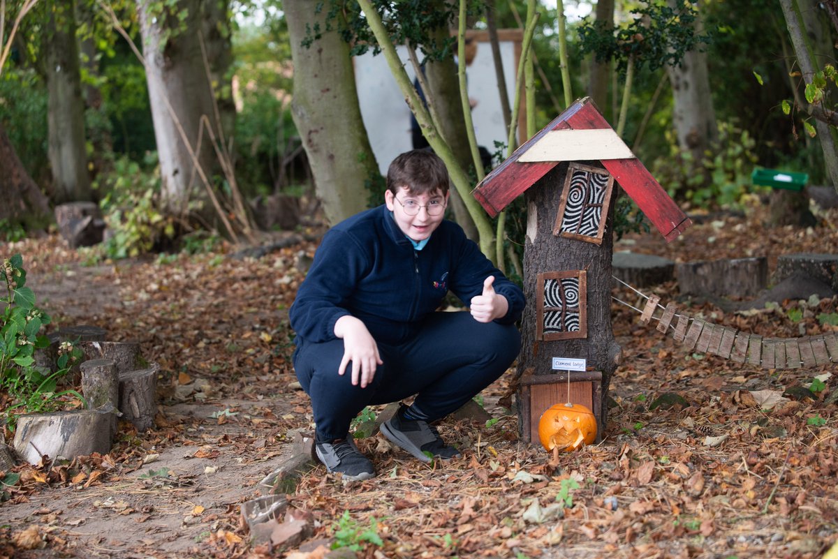 SidestrandHall's tweet photo. Marvellous magical pumpkins in the woods at Sidestrand Hall School! #happyhalloween #pumpkinmagic https://t.co/DveJ0eM21Z