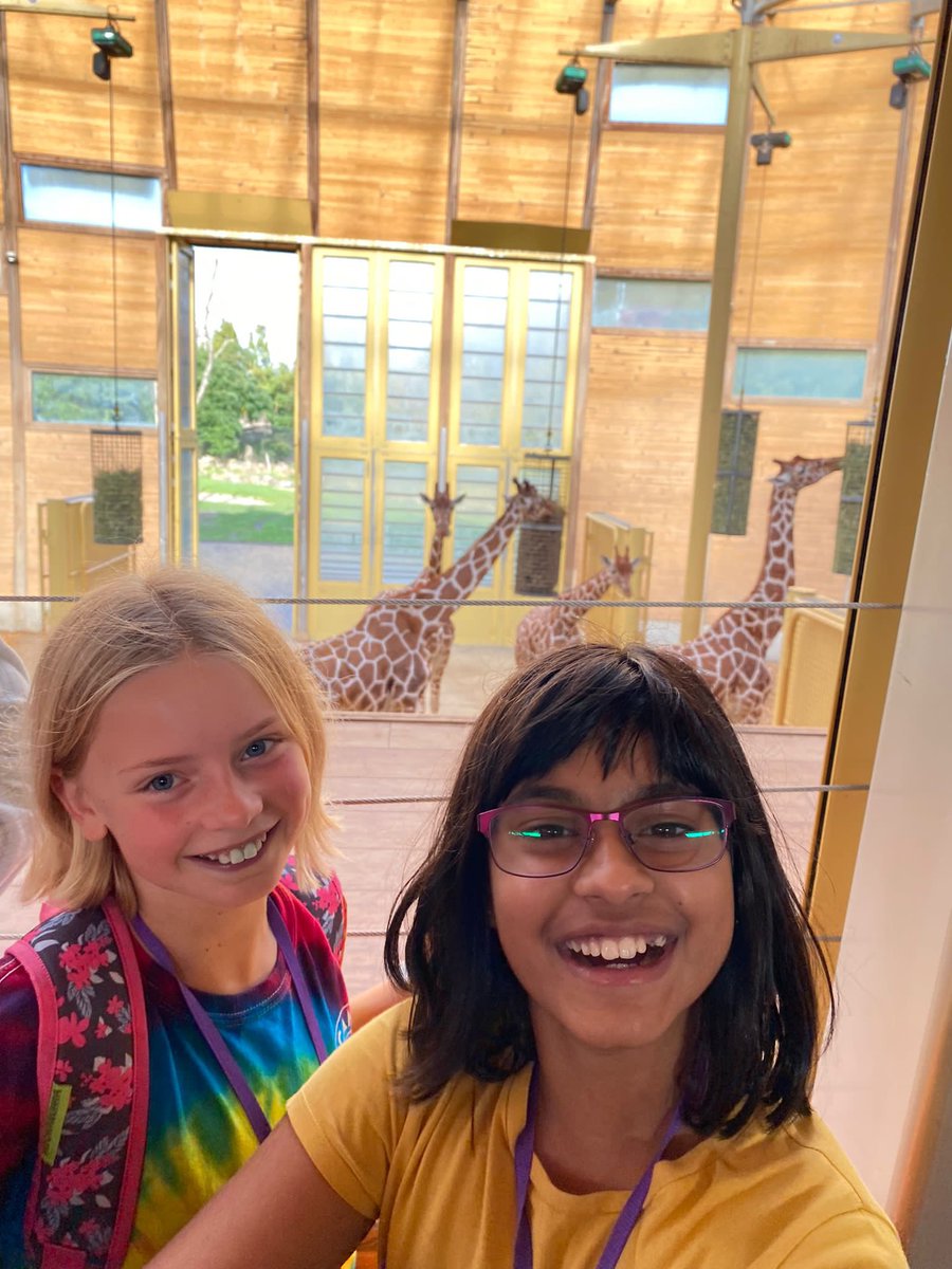 PersePrep's tweet photo. #PrepAtTheZoo #HavingAGiraffe https://t.co/bkkxC2Uf7y