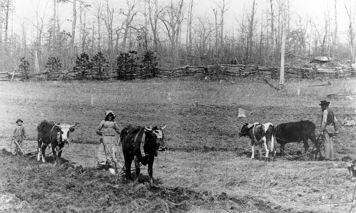 usda_nass's tweet photo. Did you know the first #AgCensus was taken in 1840 as part of the Decennial Census? In 1997, responsibility for conducting the ag census transferred from Census Bureau to NASS. Find publications from nearly 2 centuries of the ag census: https://t.co/y8Fshi0F53 #BacktoFutureDay https://t.co/EMiWtiZFlm