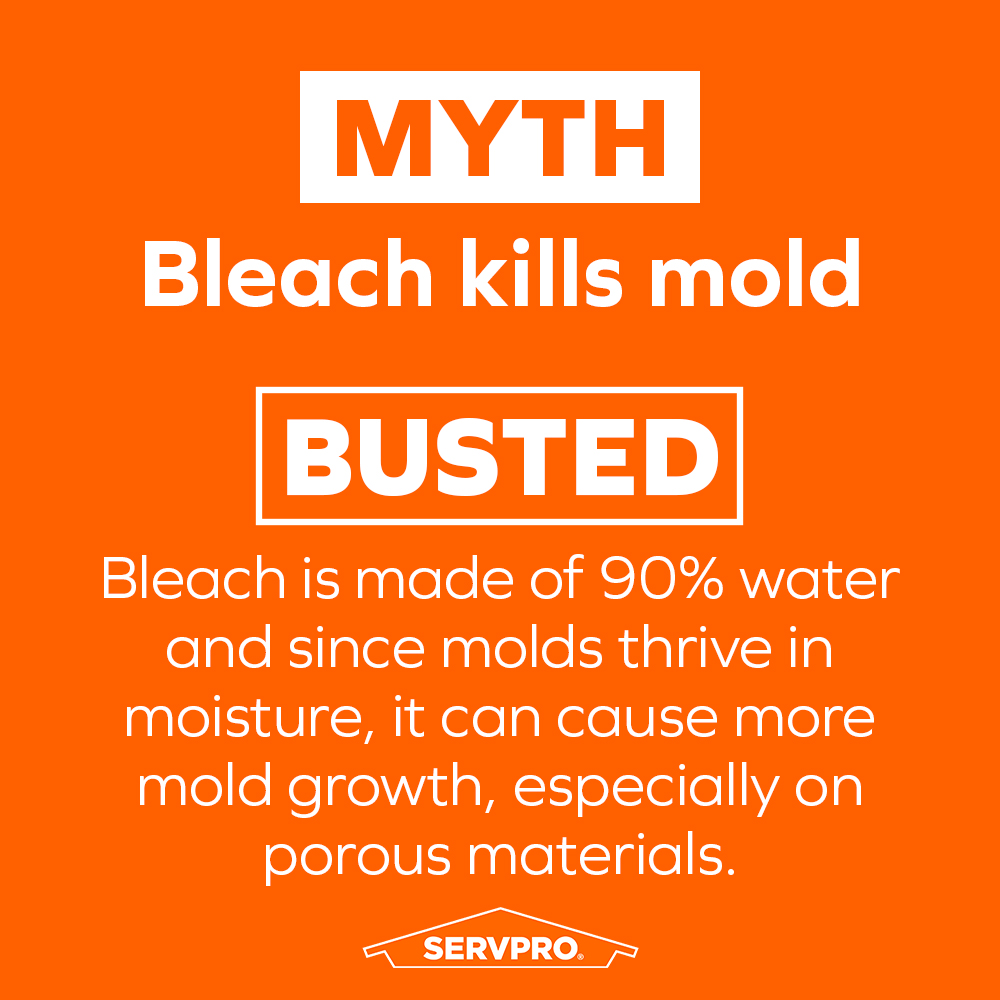 Don't clean mold with bleach.