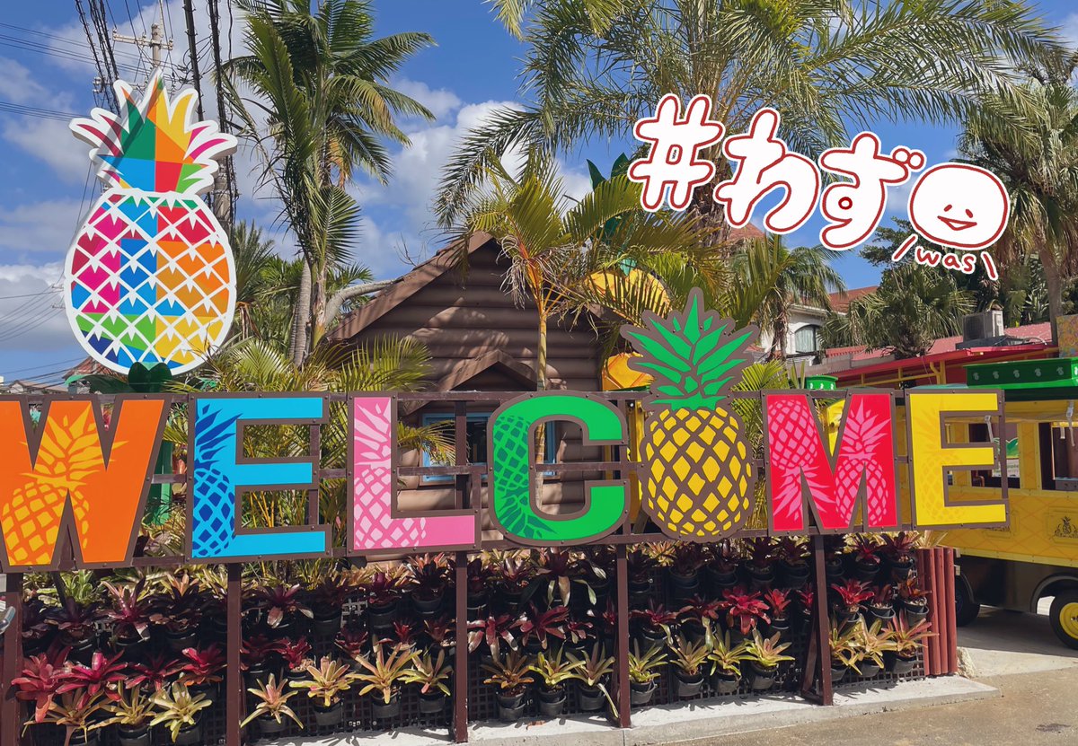 なたね Ntn a Twitter なたね Ntn a Twitter