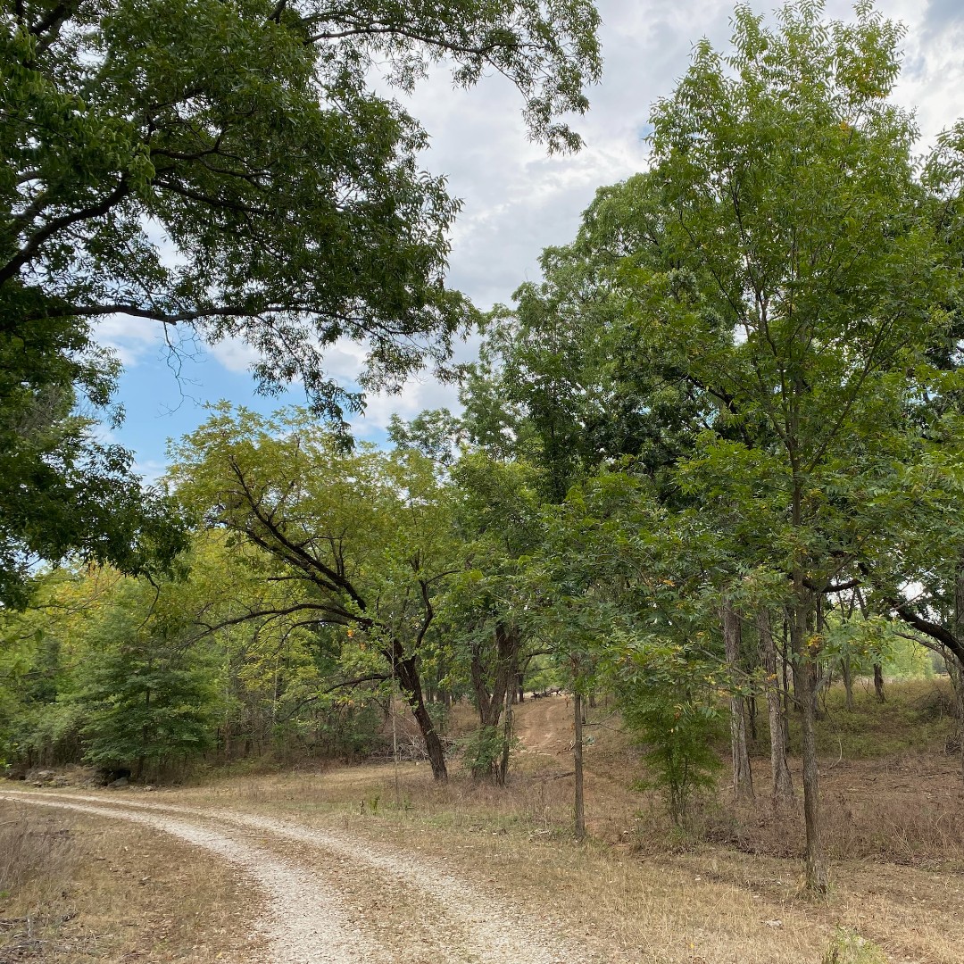 KSForestService's tweet photo. TODAY is the last day to register for the 2022 Fall Forestry Field Day! This year’s field day will be held at River Farms in Erie, KS. Registration for the day is $15. For additional information and to register, please visit our website: https://t.co/BbC18I8NbE https://t.co/Mf0bLXzyrm