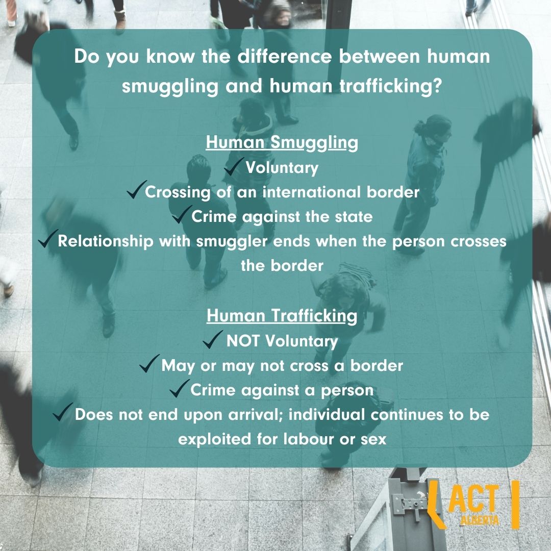 ACTAlberta's tweet photo. Do you know the difference between human smuggling and human trafficking?

#humantraffickingawareness
#humantraffickingprevention
#EndHumanTrafficking #HumanTrafficking  #labourtrafficking #sextrafficking #ACTAlberta #humansmuggling https://t.co/lmipwCYaKI