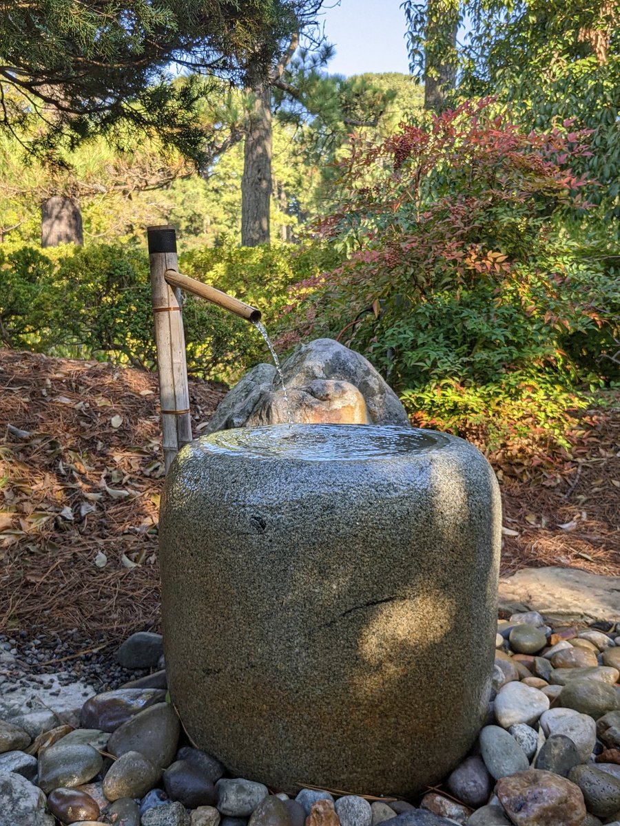mattcolmanfla's tweet photo. Had some time before my flight stopped in to see the @NorfolkBotanic . Stunning! I really enjoyed the Japanese Gardens. https://t.co/xsM66HTeyp